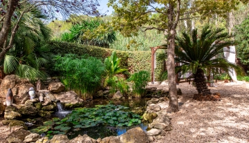 Resa Estates vastgoed te koop Ibiza Geraldine finca san lorenzo noorden garden vijver .jpg